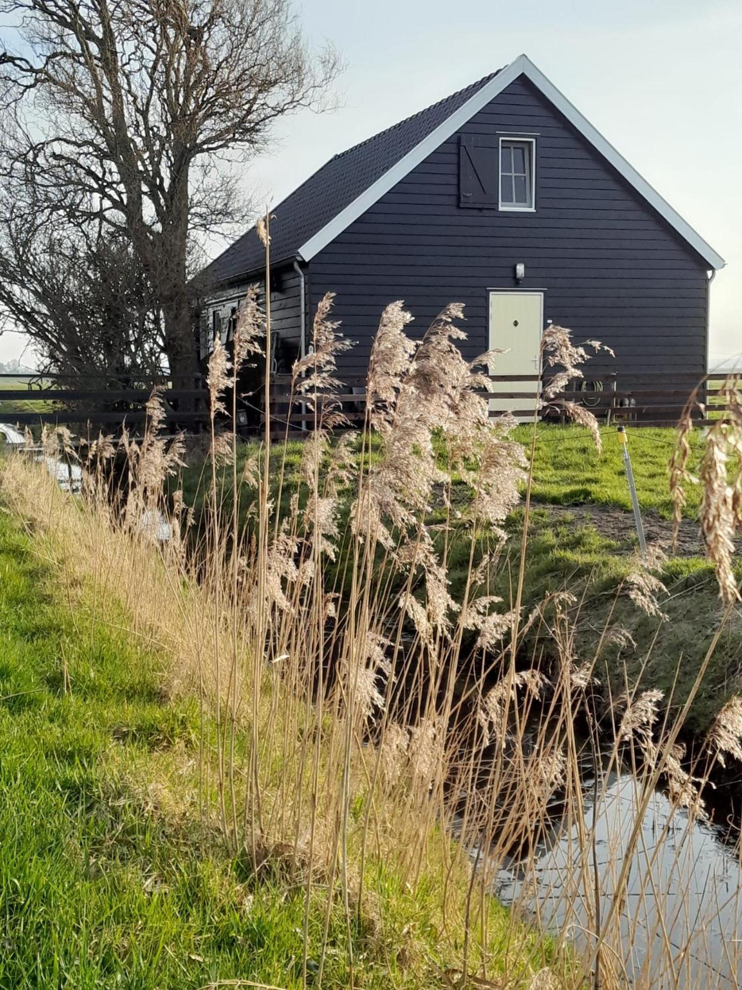 City Farmers Lodge, A Guesthouse With A Skyline View In Rural Amsterdam Exterior foto